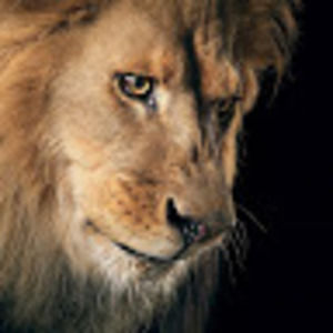 Meet your Posher, Анетта